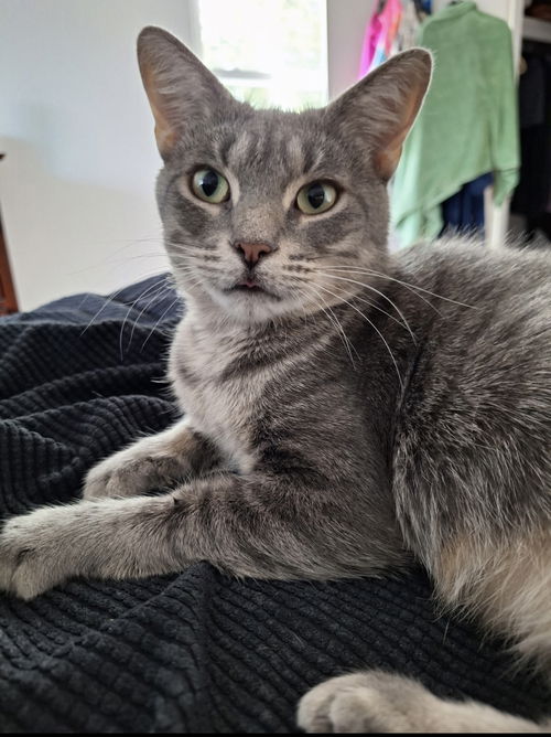 Milly