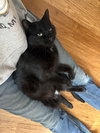 Sookie
