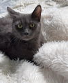 Tatiana