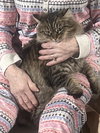 Umay (MUST BE ADOPTED WITH DAVINA)