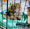 Umay (MUST BE ADOPTED WITH DAVINA)