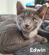 Edwin