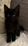 Matilda