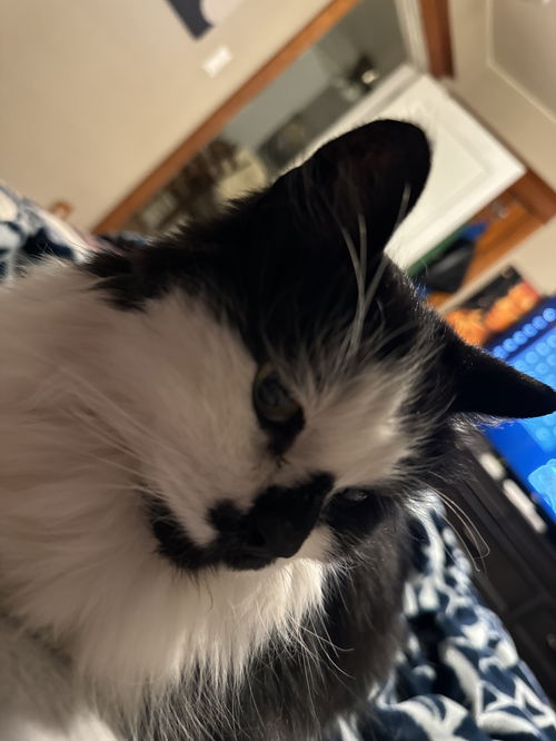 Franklin