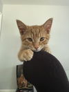Eddy
