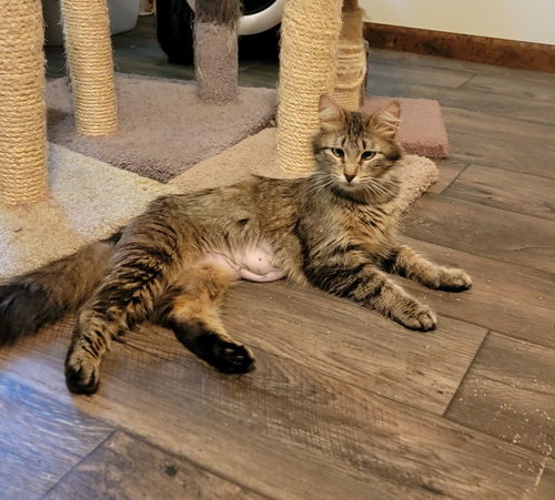 Barbara
