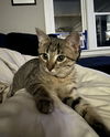 Lillian