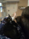 VICKY( MUST BE ADOPTED WITH ADELINE)