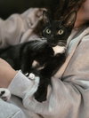 VICKY( MUST BE ADOPTED WITH ADELINE)