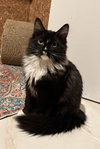 Ezra
