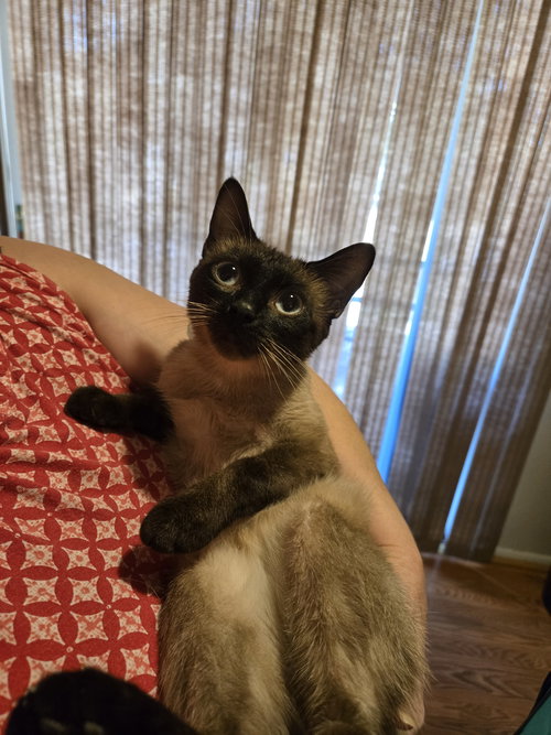 Maybelle