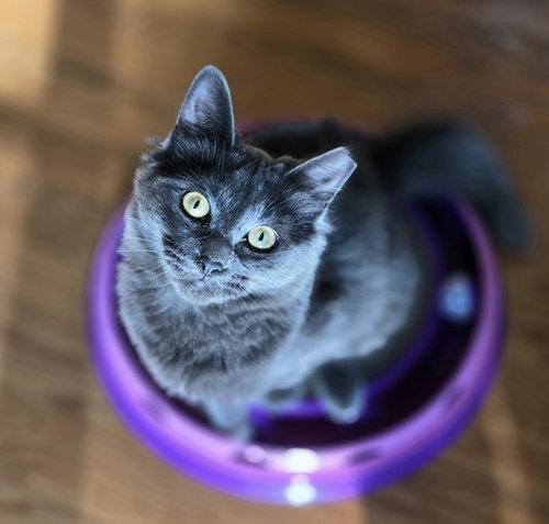 Ruby