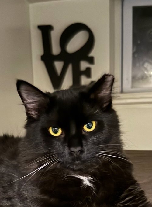 Abel