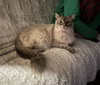 Katerina (tripod 3 legged)