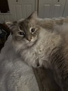 Katerina (tripod 3 legged)