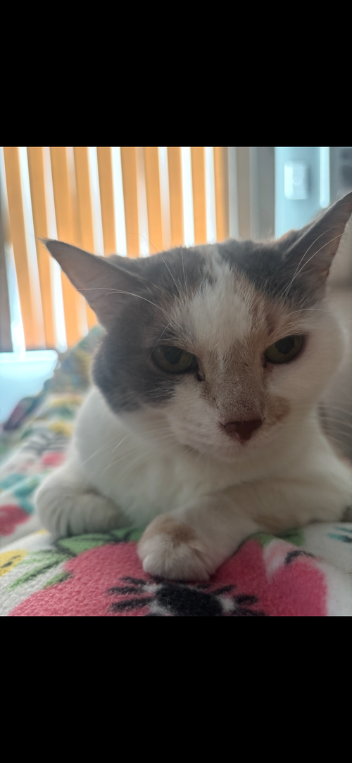 Winnie