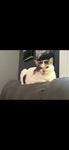 Winnie