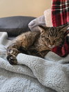 Micah