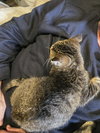 Micah