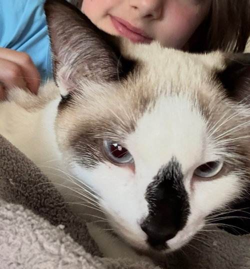 Bridget(Must Be Adopted With Baylan) photo 4