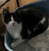 Edgar