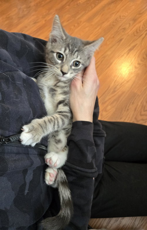 Nikolai