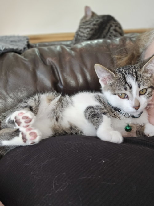 Larry