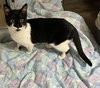 Sansa