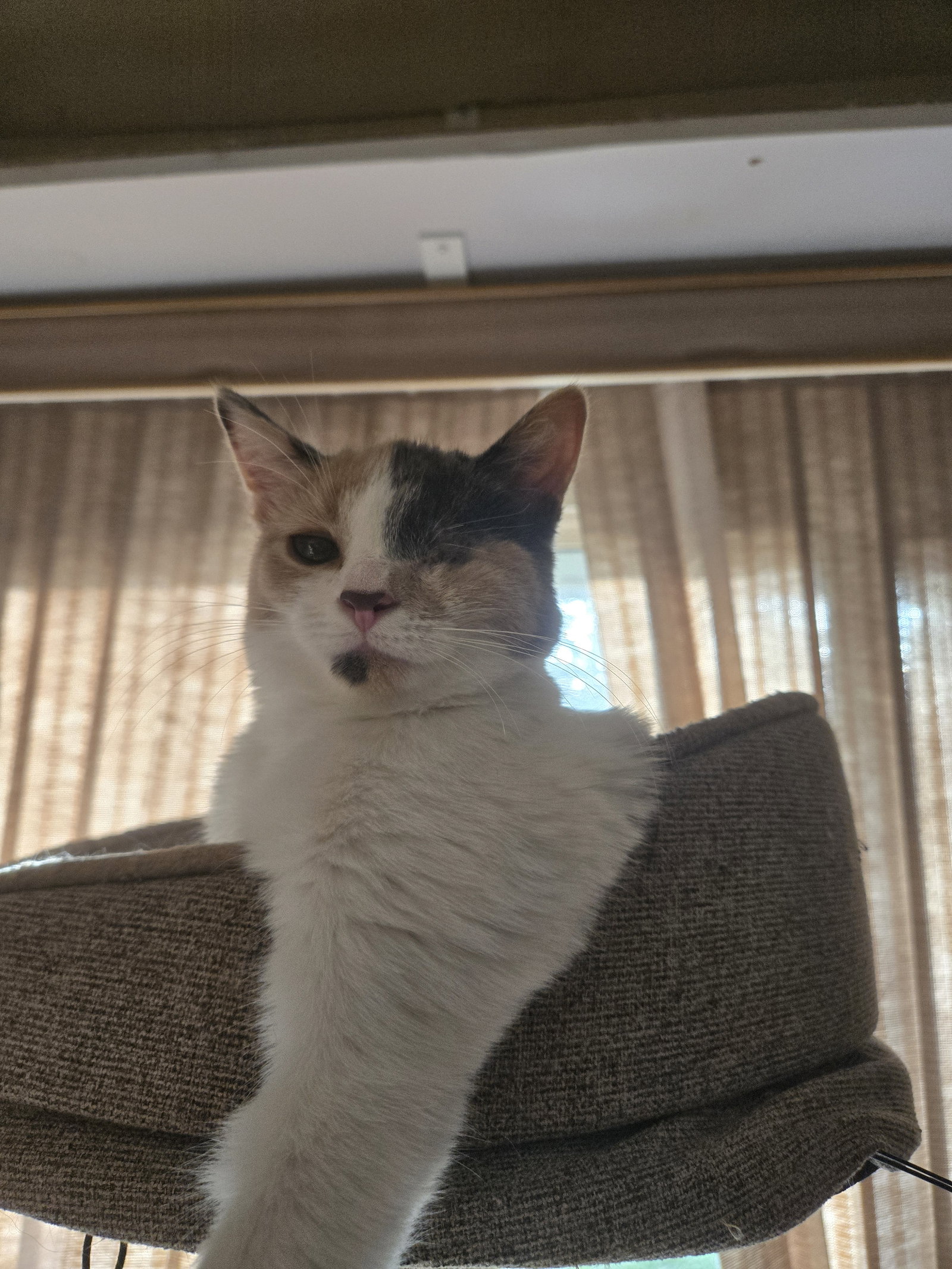 Grace, photo 9