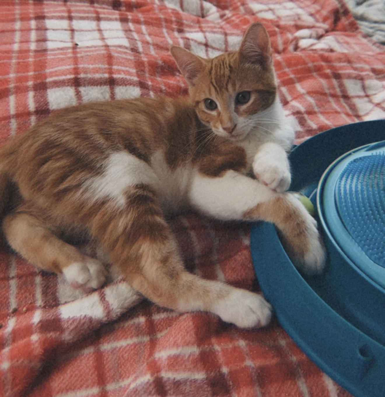 George