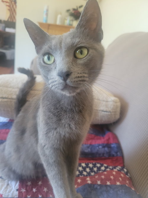 Hinauri