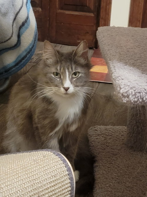 Pixel