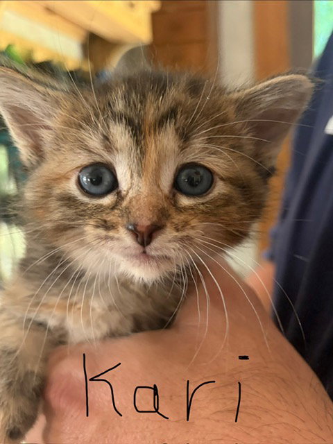 Karye, photo 3