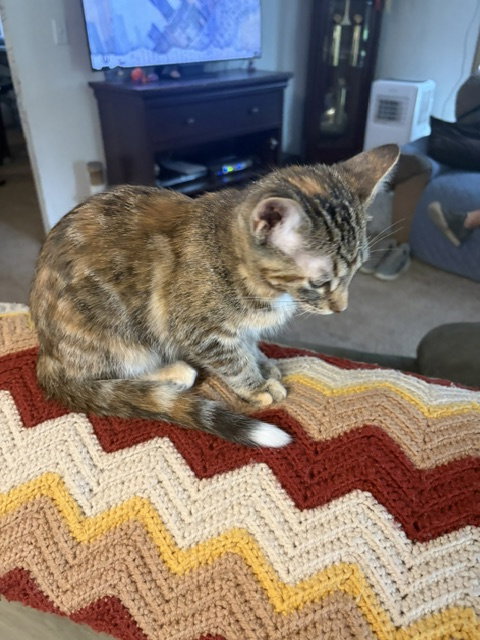 Karye, photo 5