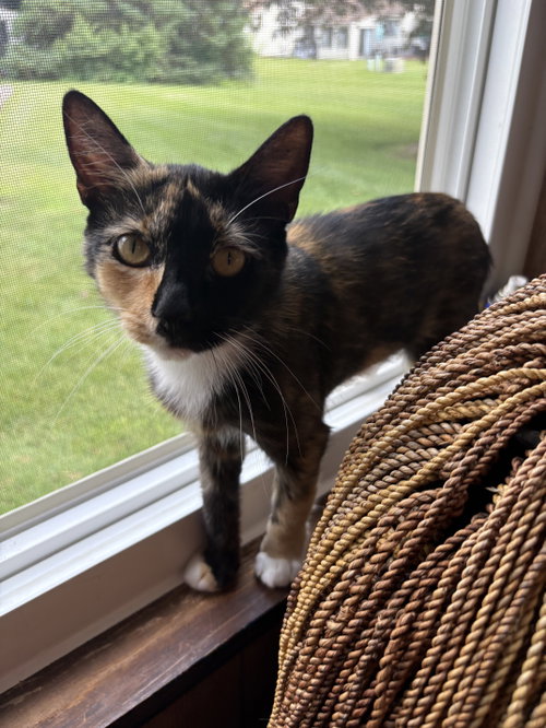 Mama Paisley