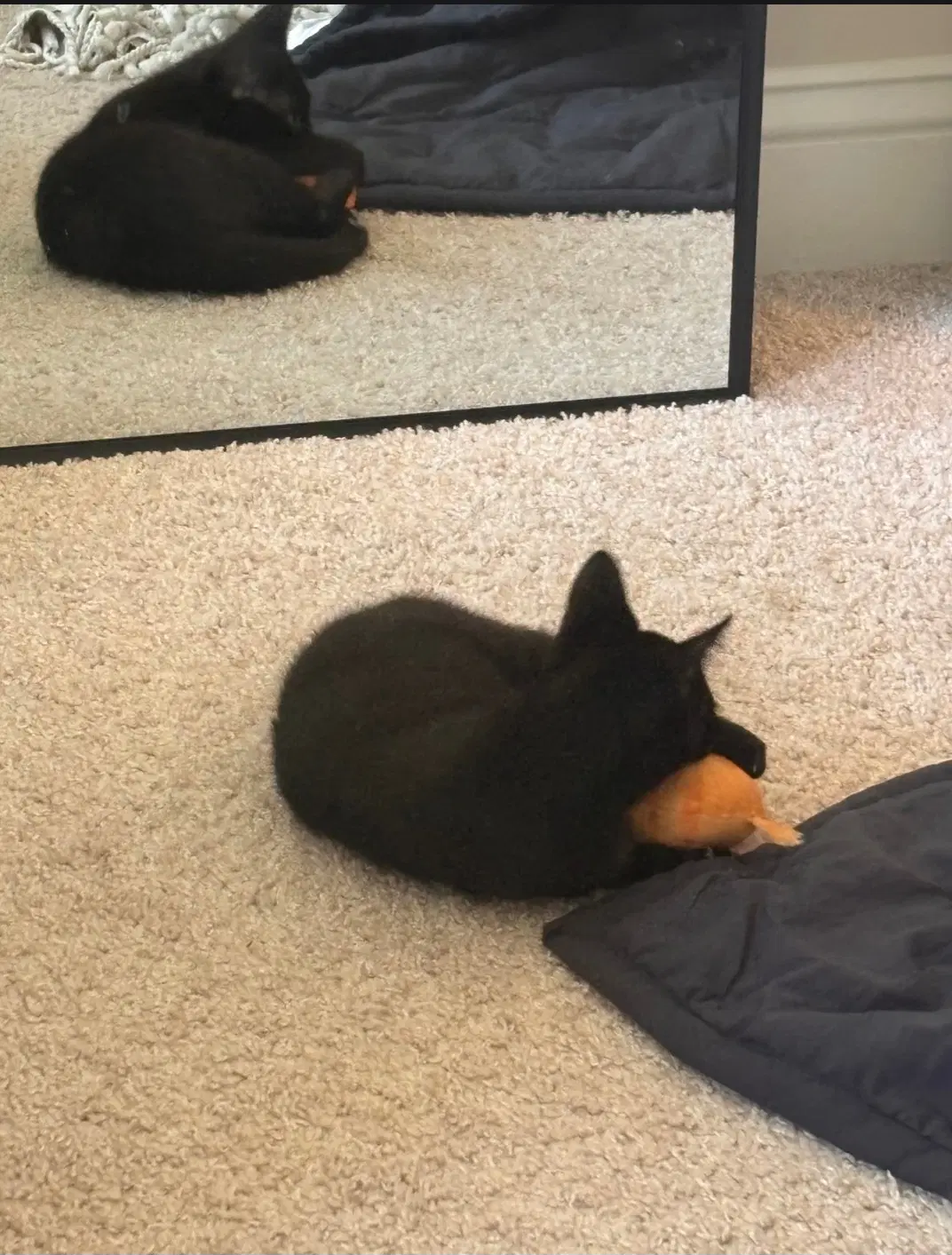 Hermione image 4