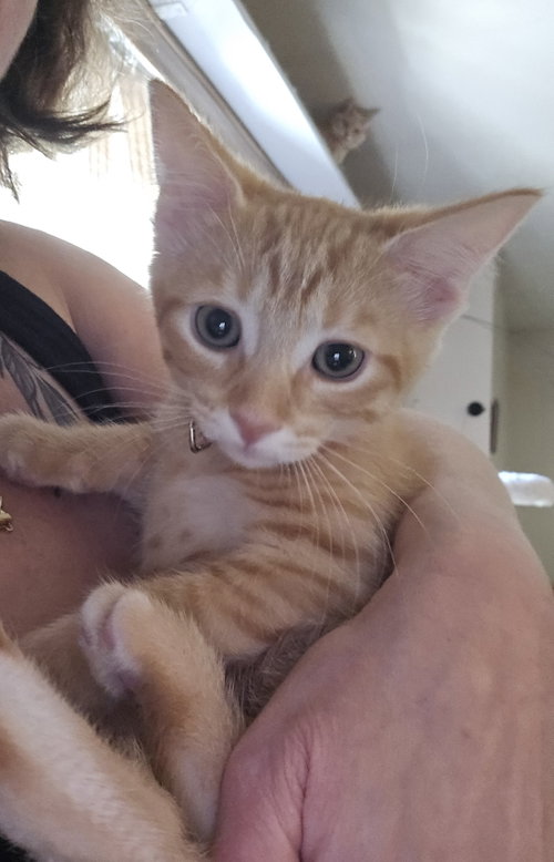 Photo 2 of Catalina