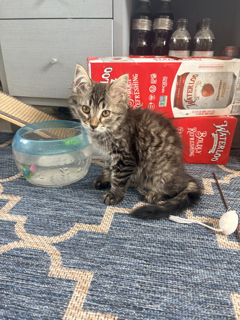 Ziggy Monster, photo 2
