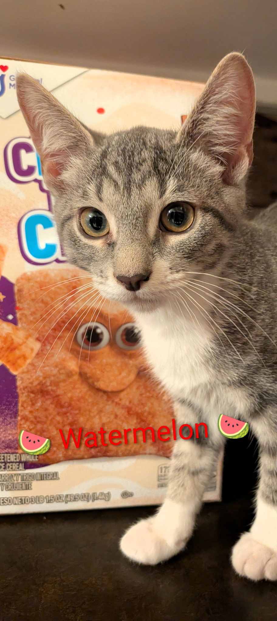 Watermelon