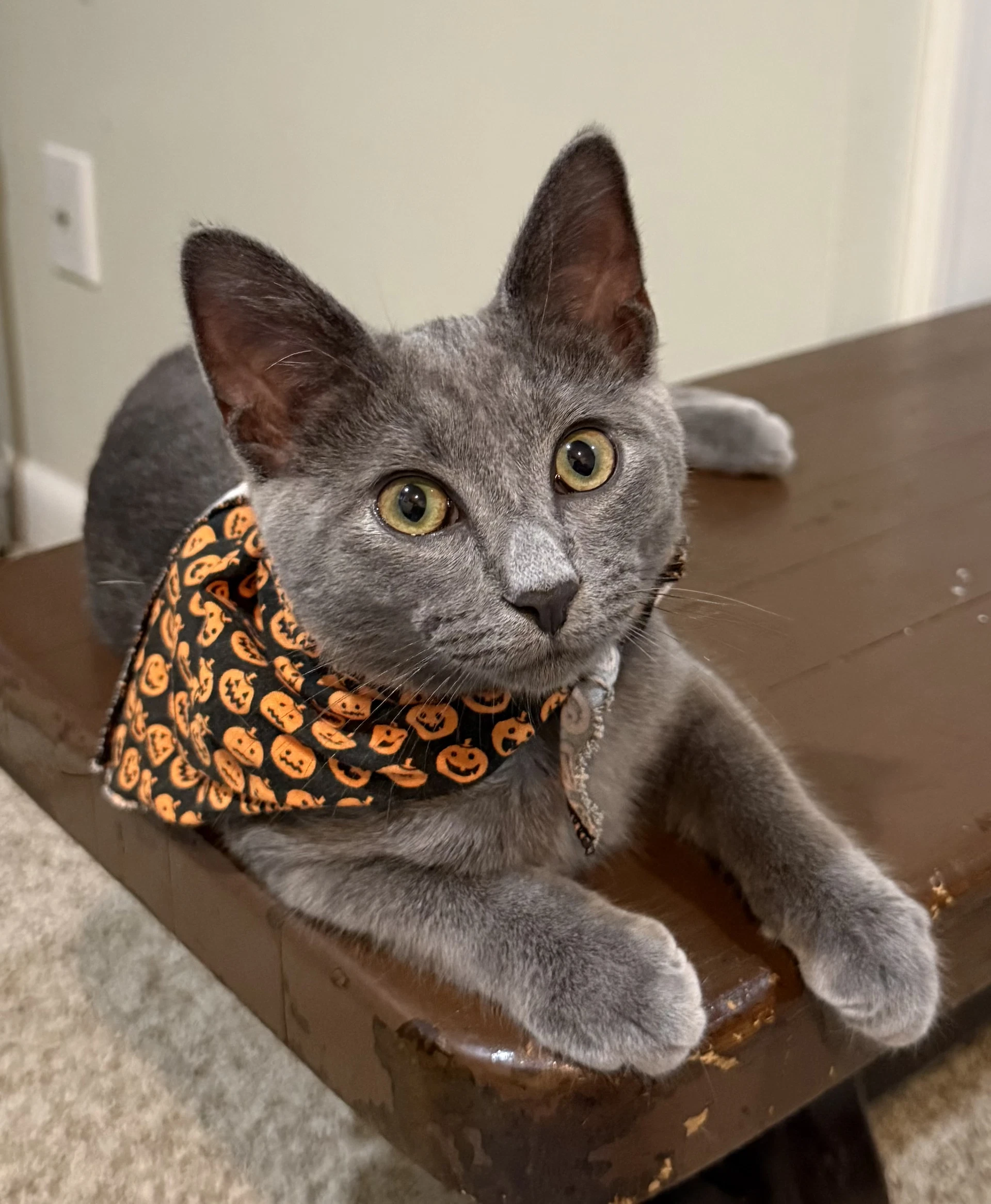 Waylon