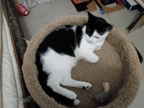 Photo 2 of Taffey