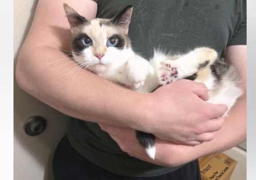 Photo 3 of Arya