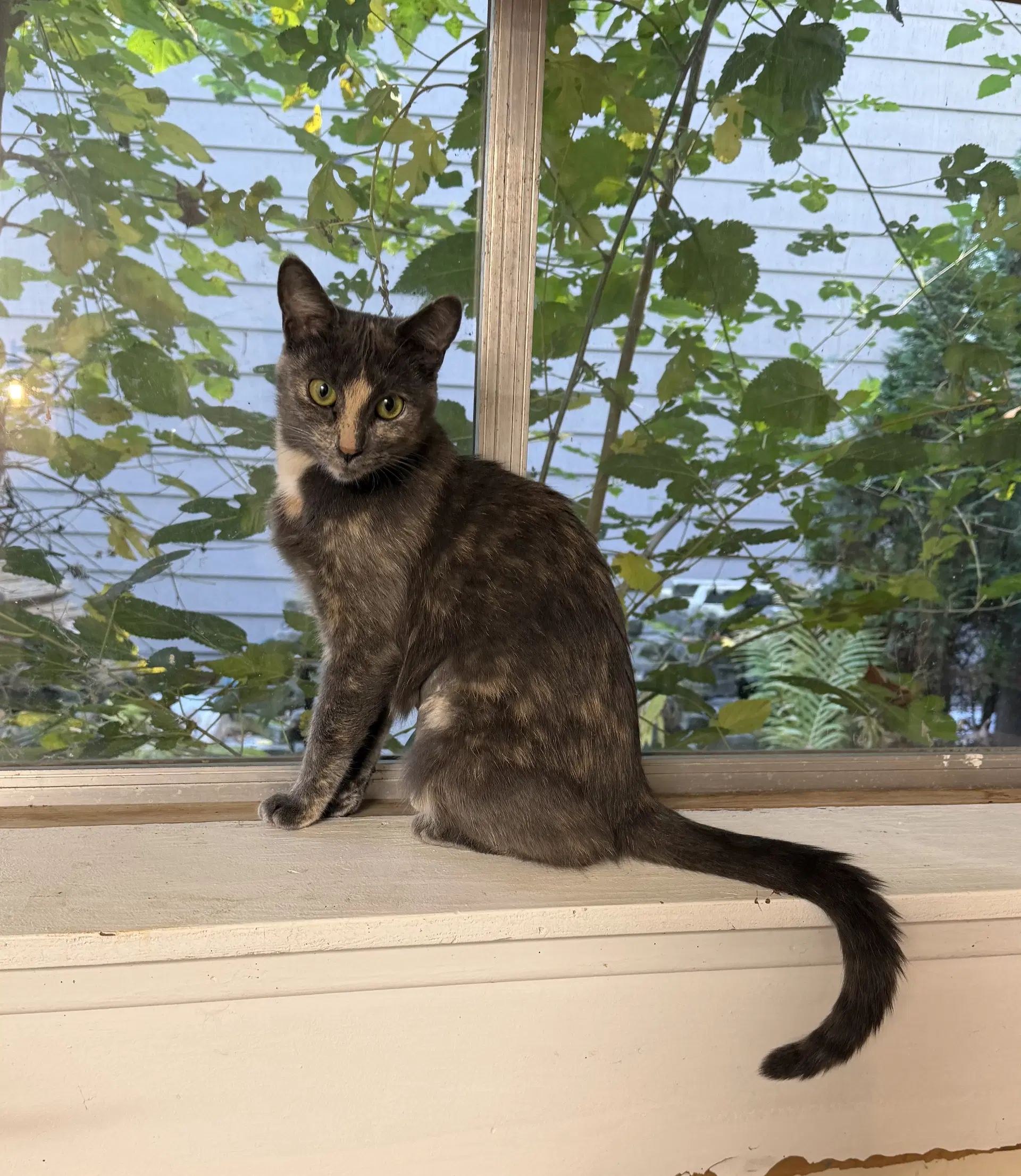 Luna Grace image 2