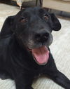 Maggie