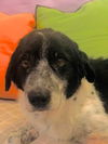 Betty