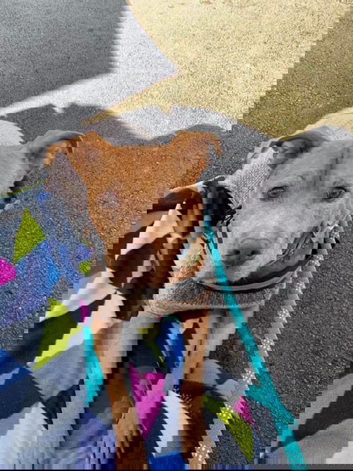 Molly