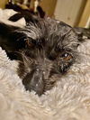 Thelma