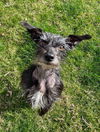Thelma