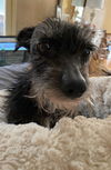 Thelma