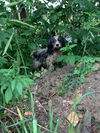 Maddie